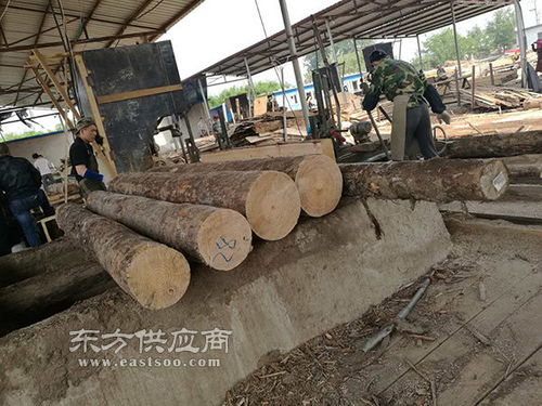 日照國(guó)魯木業(yè) 黃松木材加工廠(chǎng) 保定木材加工廠(chǎng)圖片